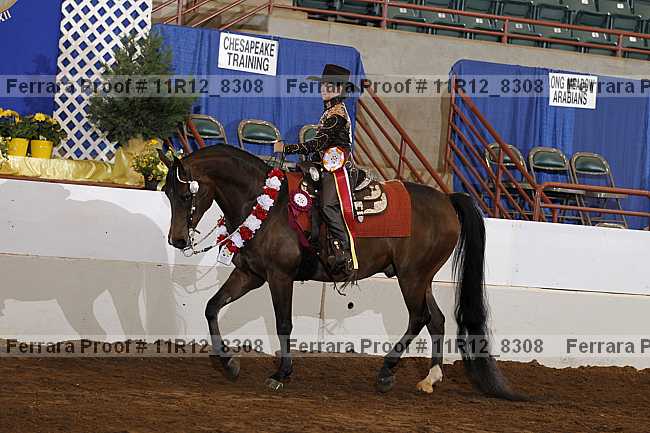Proof Number 11r12_8308