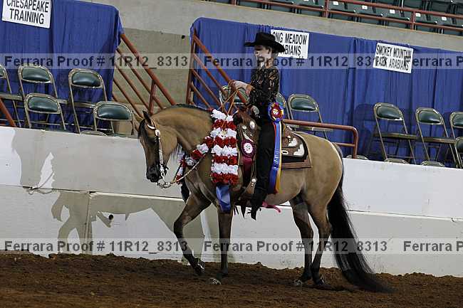 Proof Number 11r12_8313