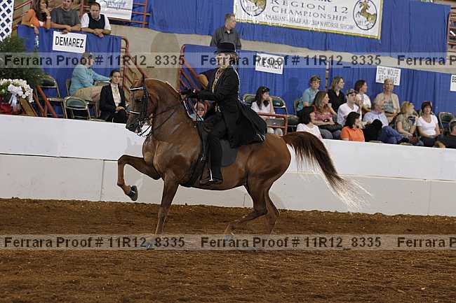 Proof Number 11r12_8335