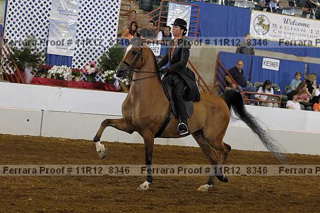 Proof Number 11r12_8346