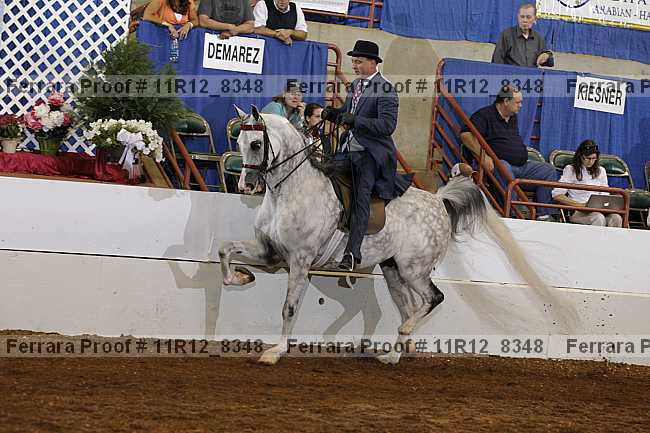 Proof Number 11r12_8348