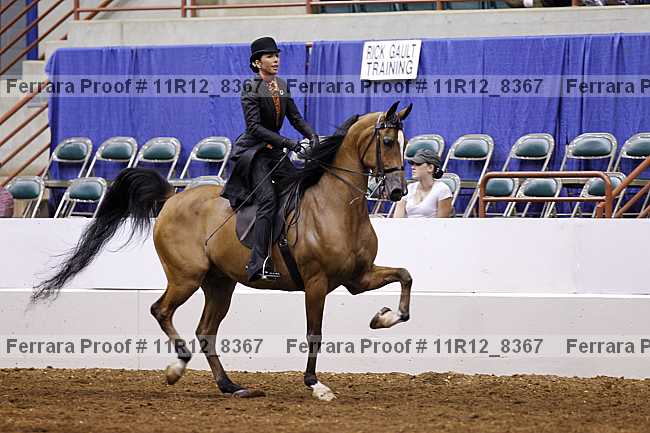 Proof Number 11r12_8367