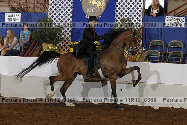 Proof Number 11r12_8368