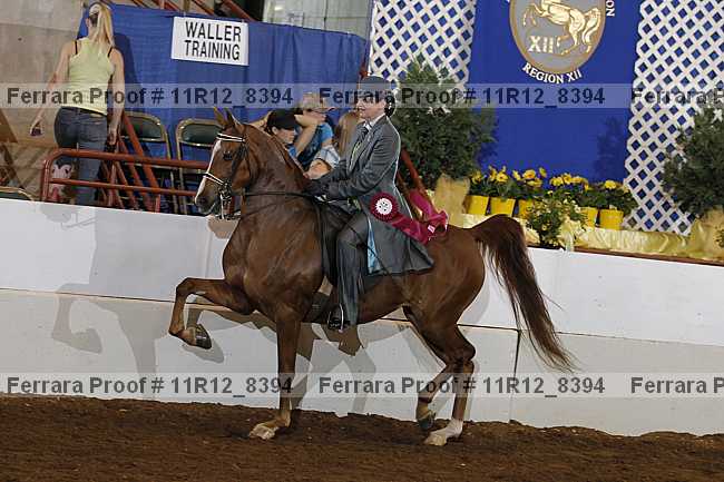 Proof Number 11r12_8394