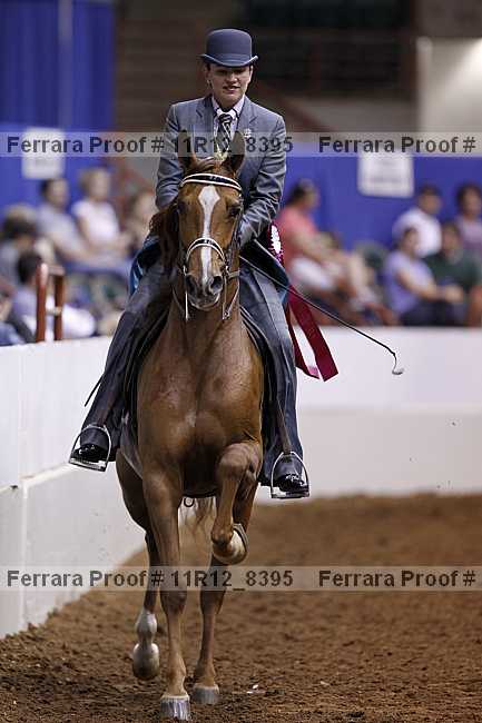 Proof Number 11r12_8395