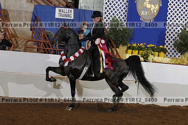 Proof Number 11r12_8409