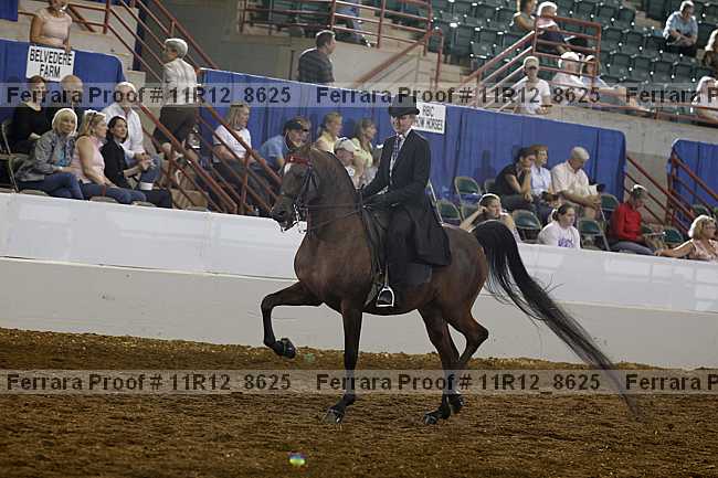 Proof Number 11r12_8625