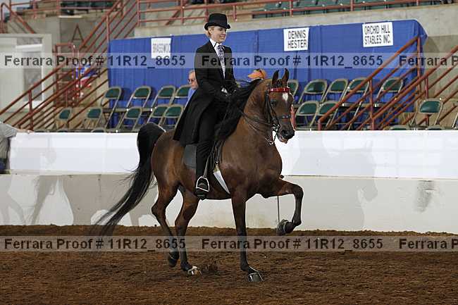Proof Number 11r12_8655