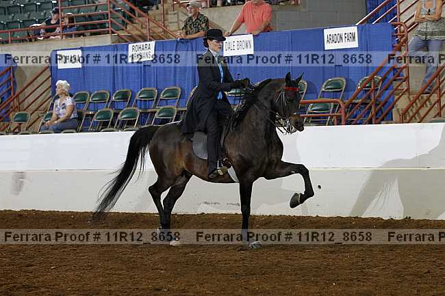Proof Number 11r12_8658