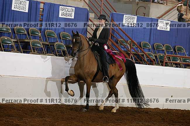 Proof Number 11r12_8676