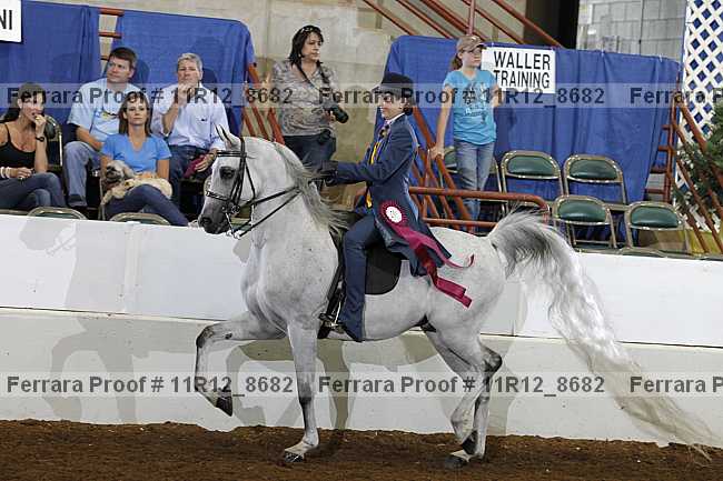 Proof Number 11r12_8682