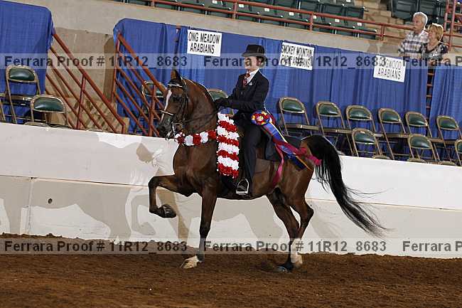 Proof Number 11r12_8683