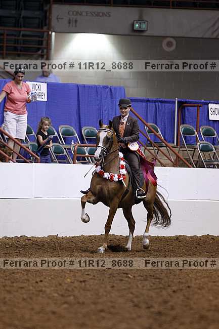 Proof Number 11r12_8688