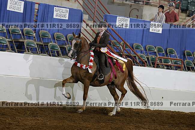 Proof Number 11r12_8689