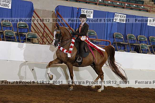 Proof Number 11r12_8691