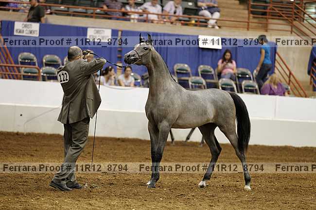 Proof Number 11r12_8794