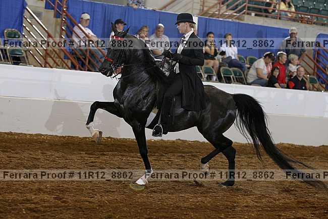 Proof Number 11r12_8862