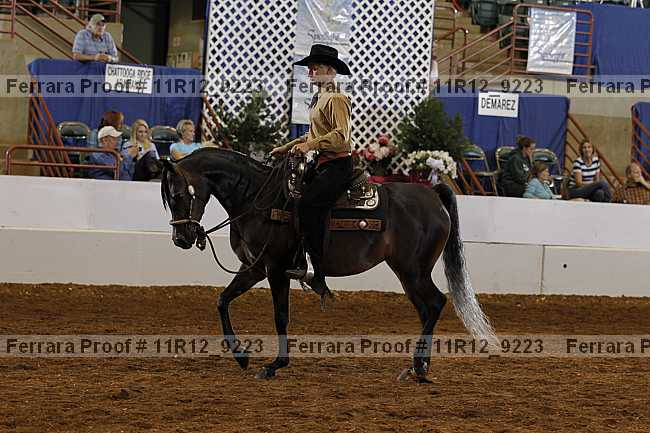 Proof Number 11r12_9223