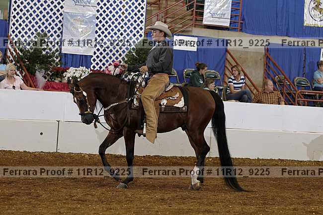 Proof Number 11r12_9225