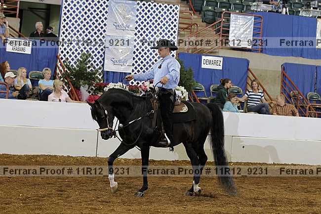 Proof Number 11r12_9231