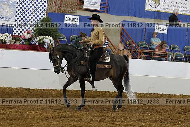 Proof Number 11r12_9233