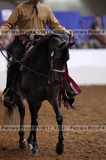 Proof Number 11r12_9262
