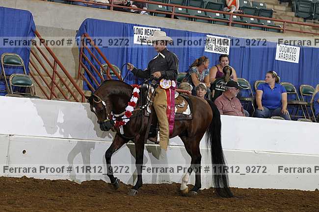 Proof Number 11r12_9272