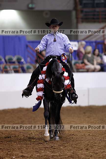 Proof Number 11r12_9277