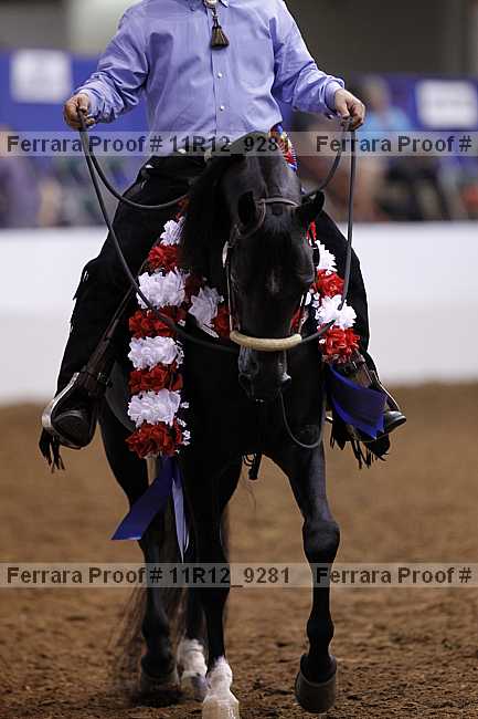 Proof Number 11r12_9281