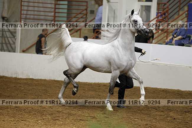 Proof Number 11r12_9294