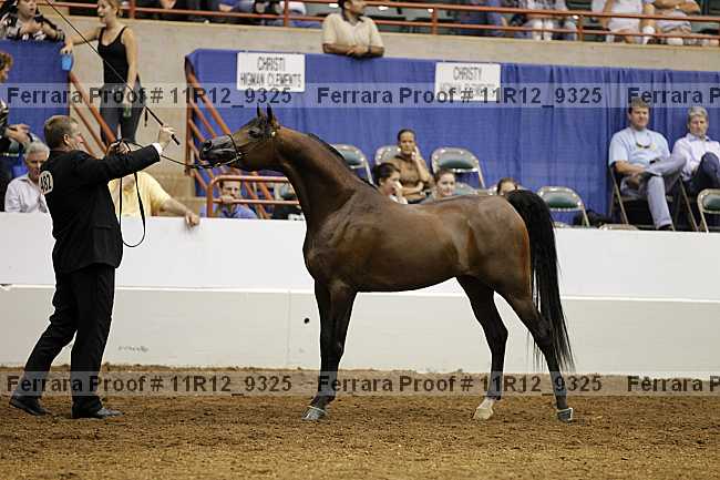 Proof Number 11r12_9325