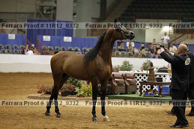 Proof Number 11r12_9332