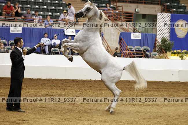 Proof Number 11r12_9337