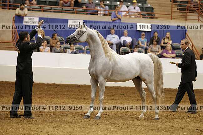 Proof Number 11r12_9350