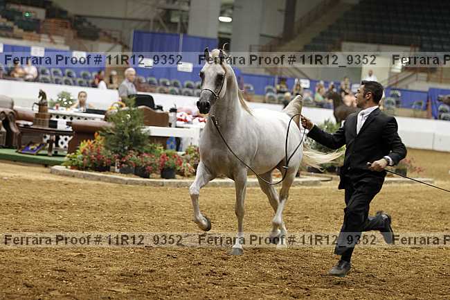 Proof Number 11r12_9352
