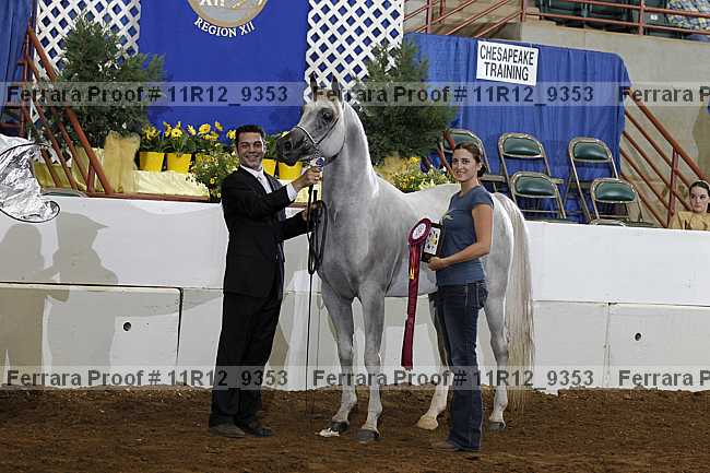 Proof Number 11r12_9353