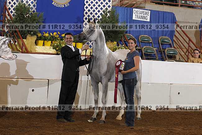 Proof Number 11r12_9354