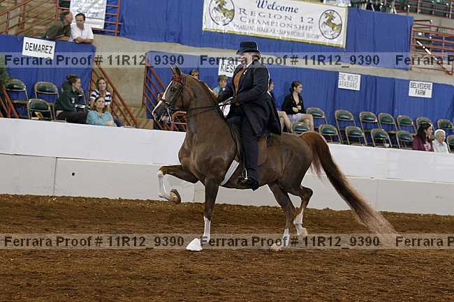 Proof Number 11r12_9390