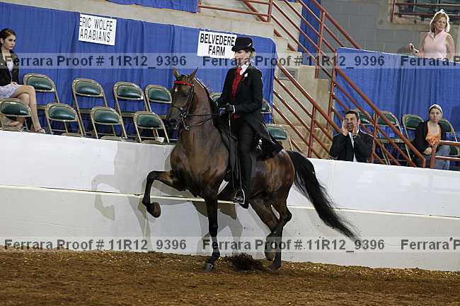 Proof Number 11r12_9396