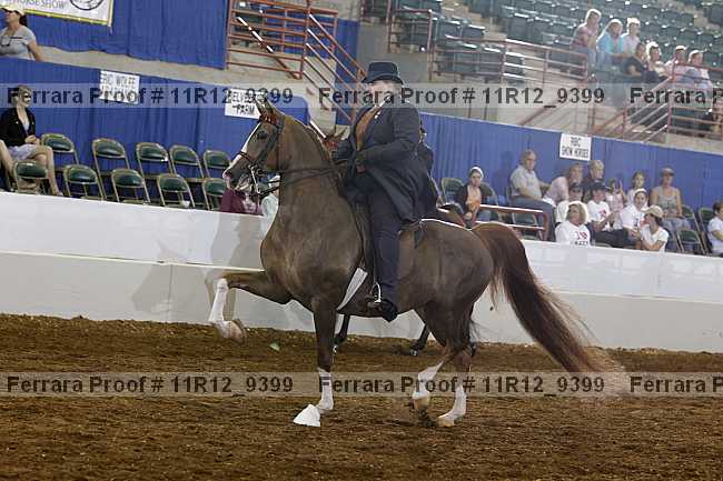 Proof Number 11r12_9399