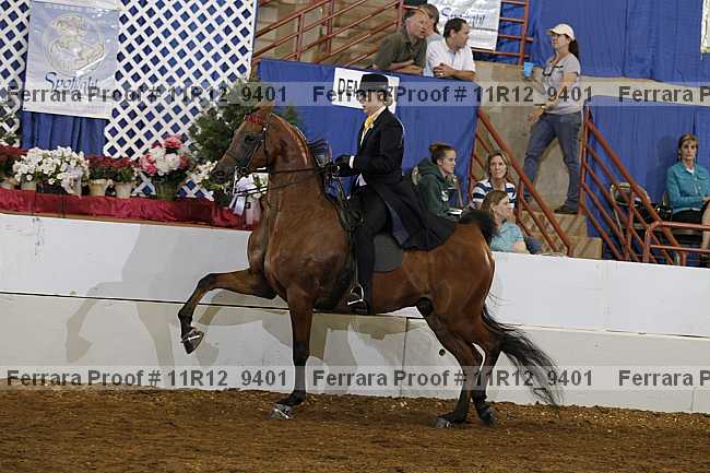 Proof Number 11r12_9401