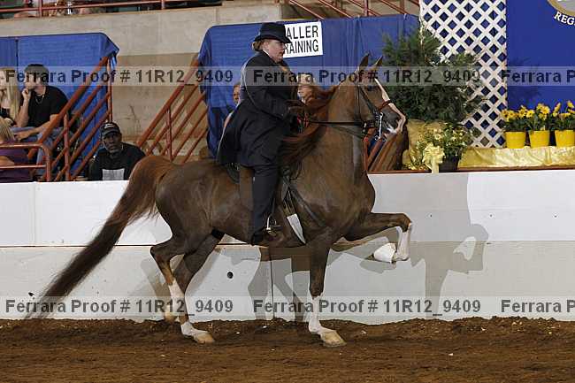 Proof Number 11r12_9409