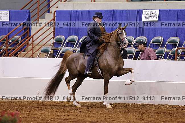Proof Number 11r12_9413