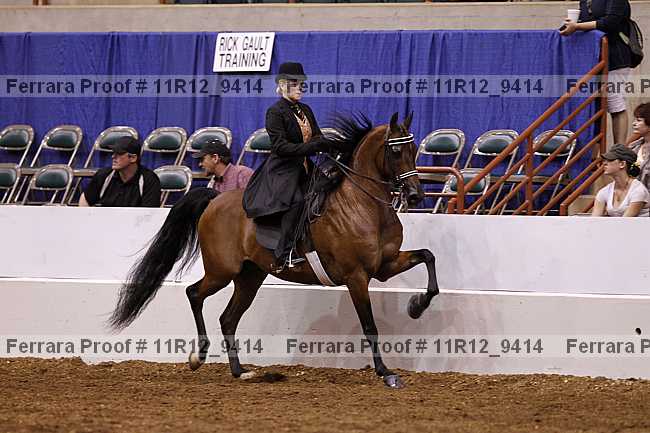 Proof Number 11r12_9414