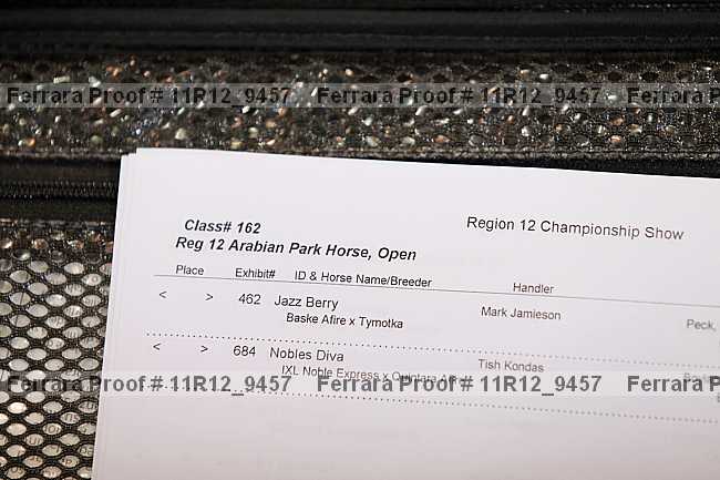 Proof Number 11r12_9457