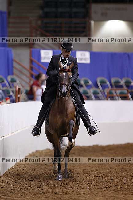 Proof Number 11r12_9461