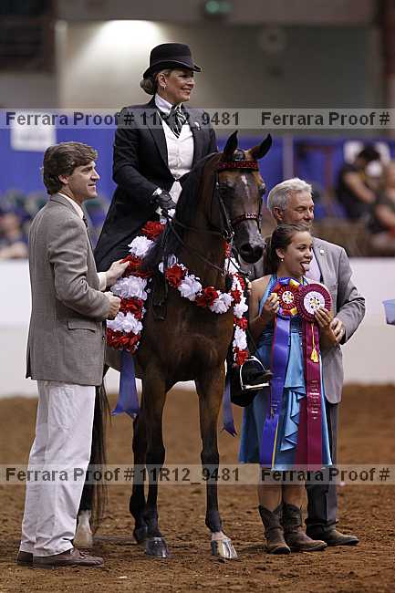 Proof Number 11r12_9481