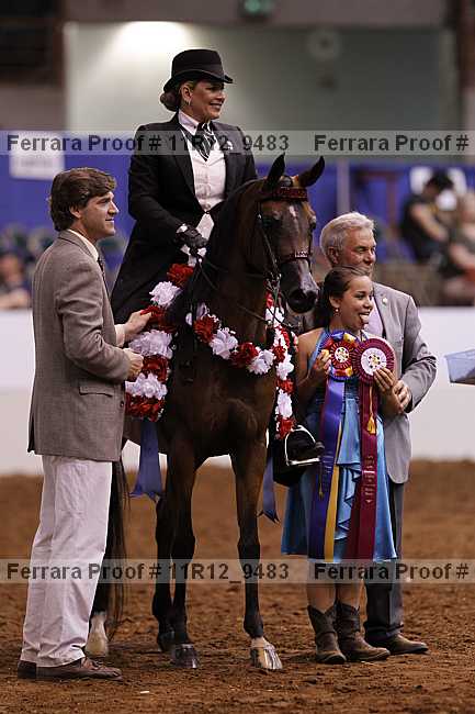 Proof Number 11r12_9483