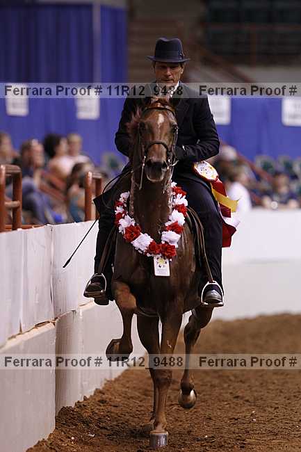 Proof Number 11r12_9488