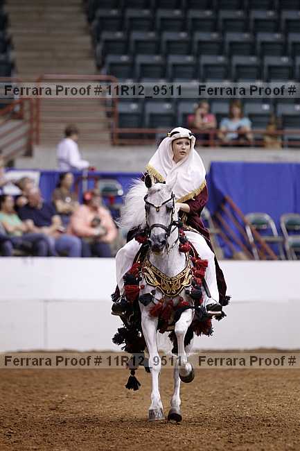 Proof Number 11r12_9511